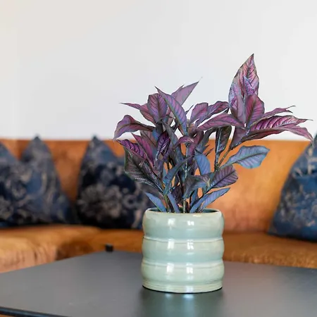 Gretl By We Rent * Zell am See