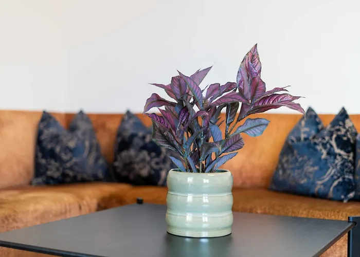 Gretl By We Rent * ツェル アム ゼー